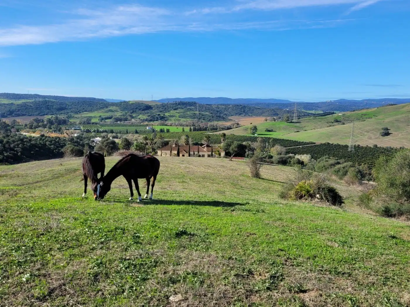 Casa o chalet en venta en Plaza Constitución, San Martín del Tesorillo