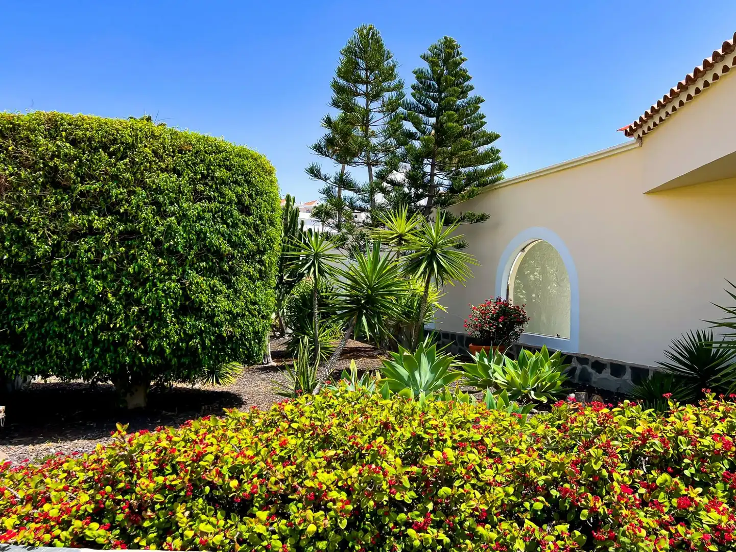 Jardín de Apartamento en venta en Adeje con Aire acondicionado, Terraza y Amueblado
