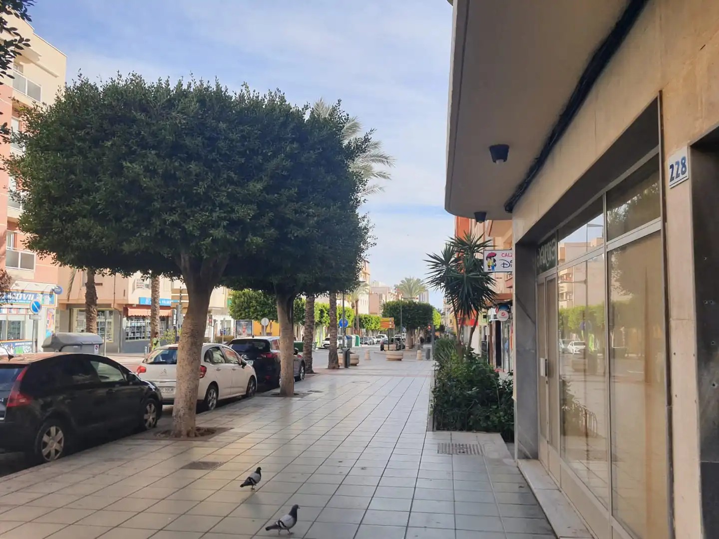 Exterior view of Garage for sale in El Ejido