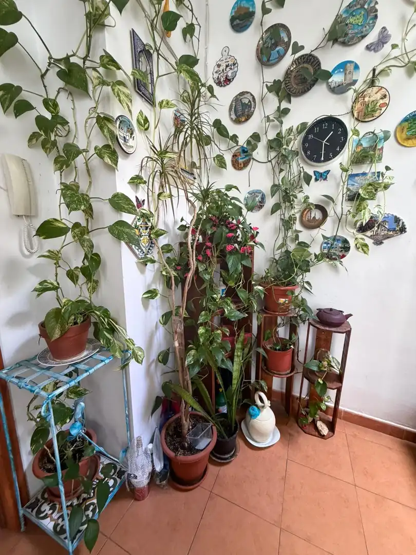 Flat for sale in La Caleta - La Viña, imagen 44
