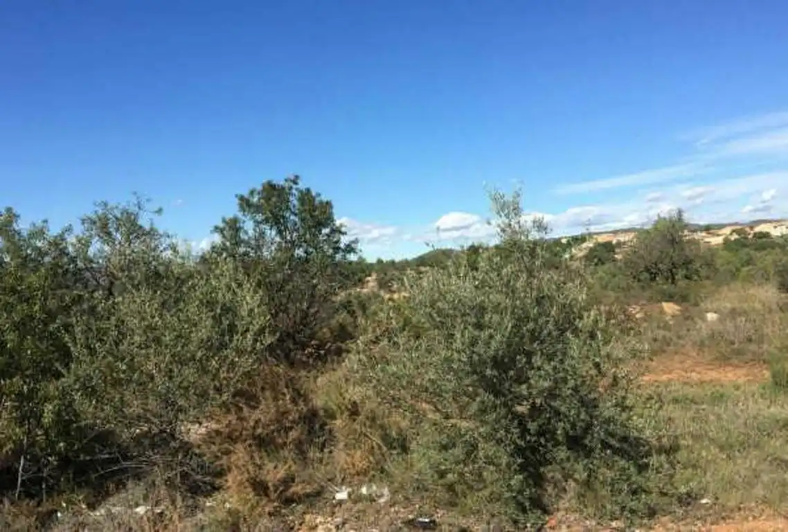 Terreny rústic en venda a Avinguda de Correntilla, imagen 2