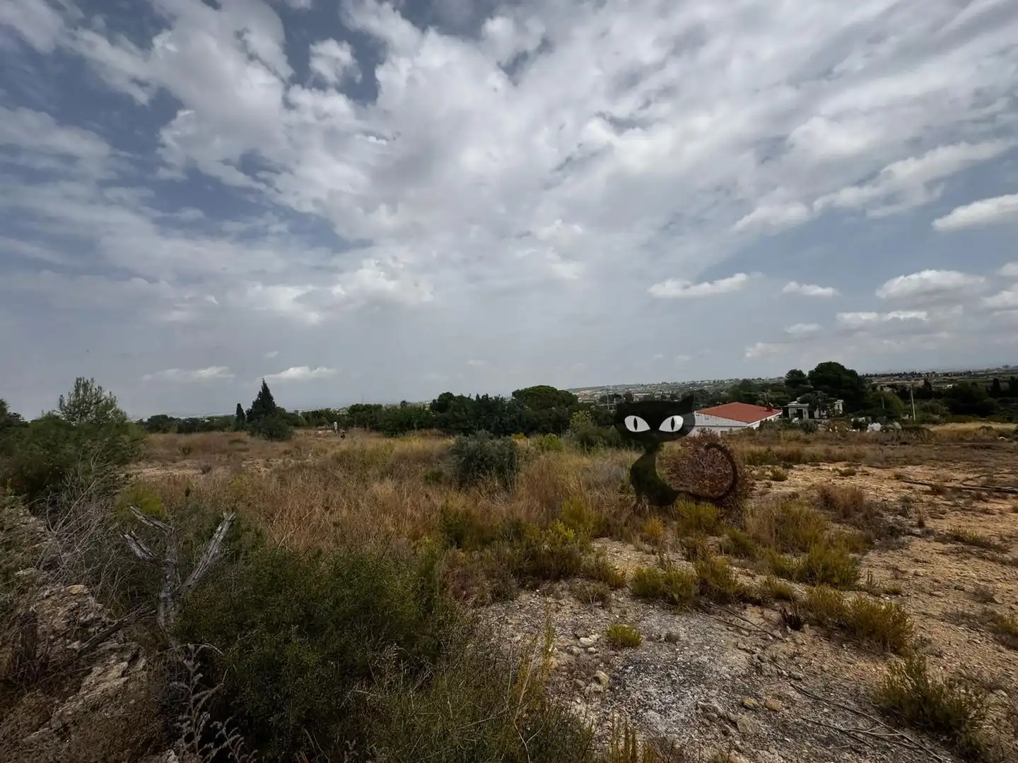 Rural land for sale in Calicanto - Cumbres de Calicanto - Santo Domingo, imagen 12