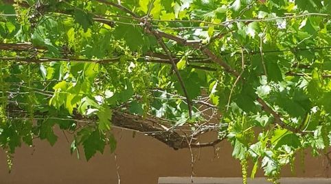 Foto 3 de Casa o xalet en venda a Carretera Raspajos, Alcóntar, Almería