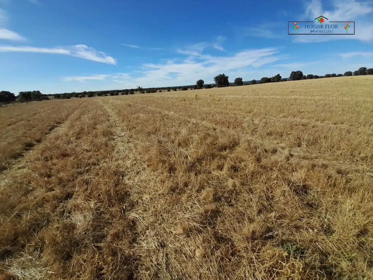 Finca rústica en venta en Carrascal del Obispo