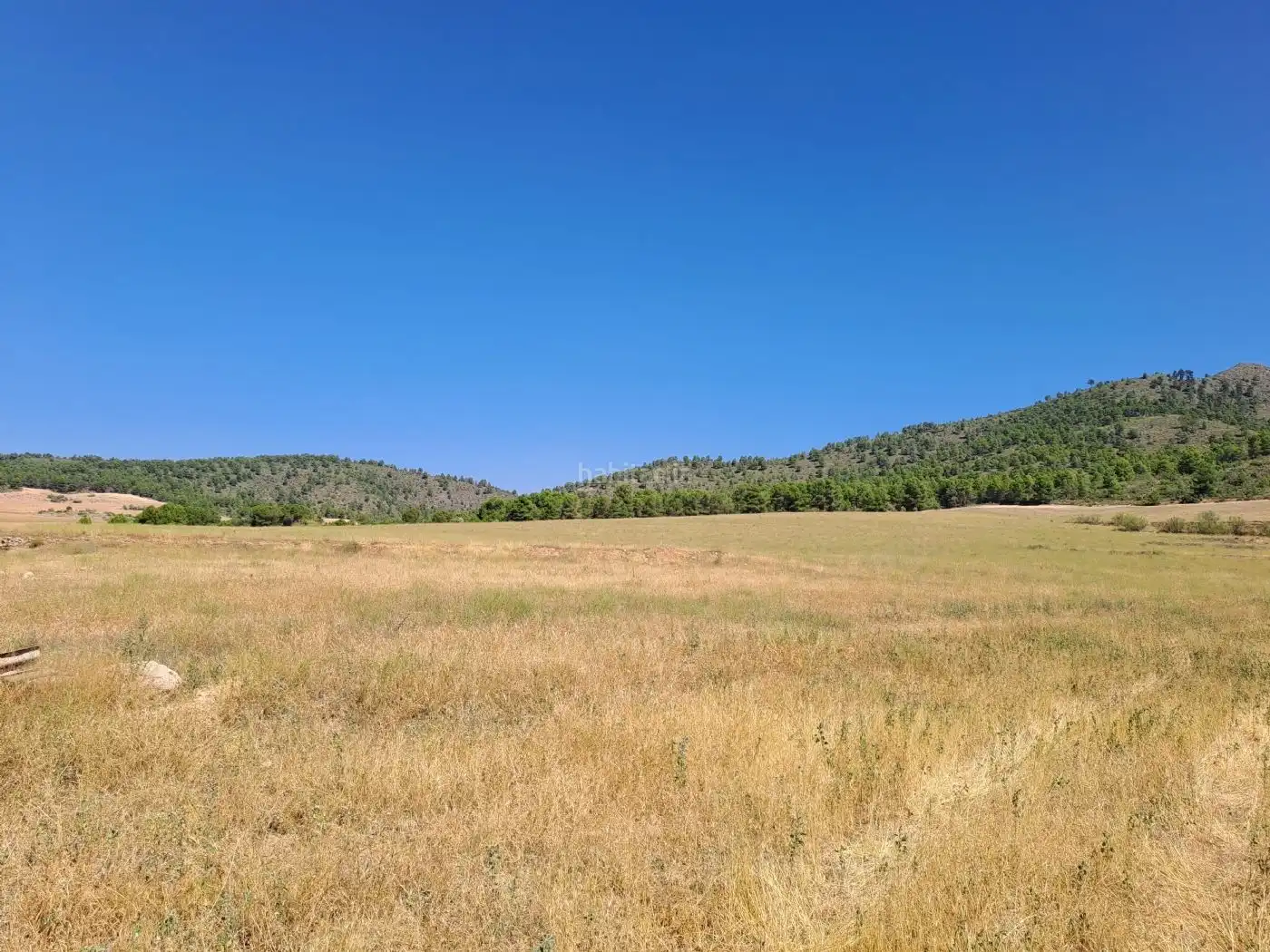 Terreno rústico en venta en CM-412 222, imagen 8