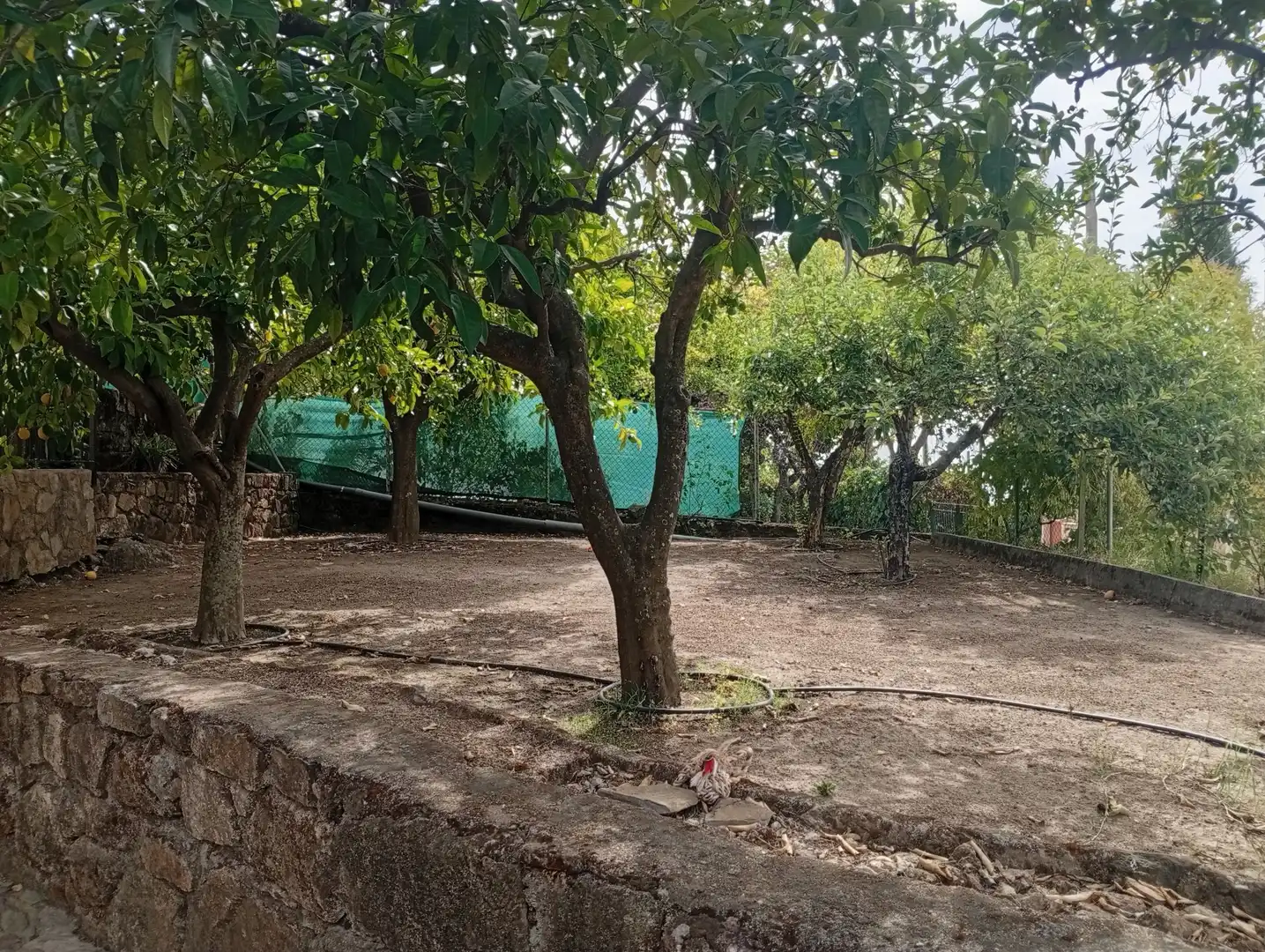 Haus mit Garten zum Verkauf in Villanueva de la Vera, imagen 56
