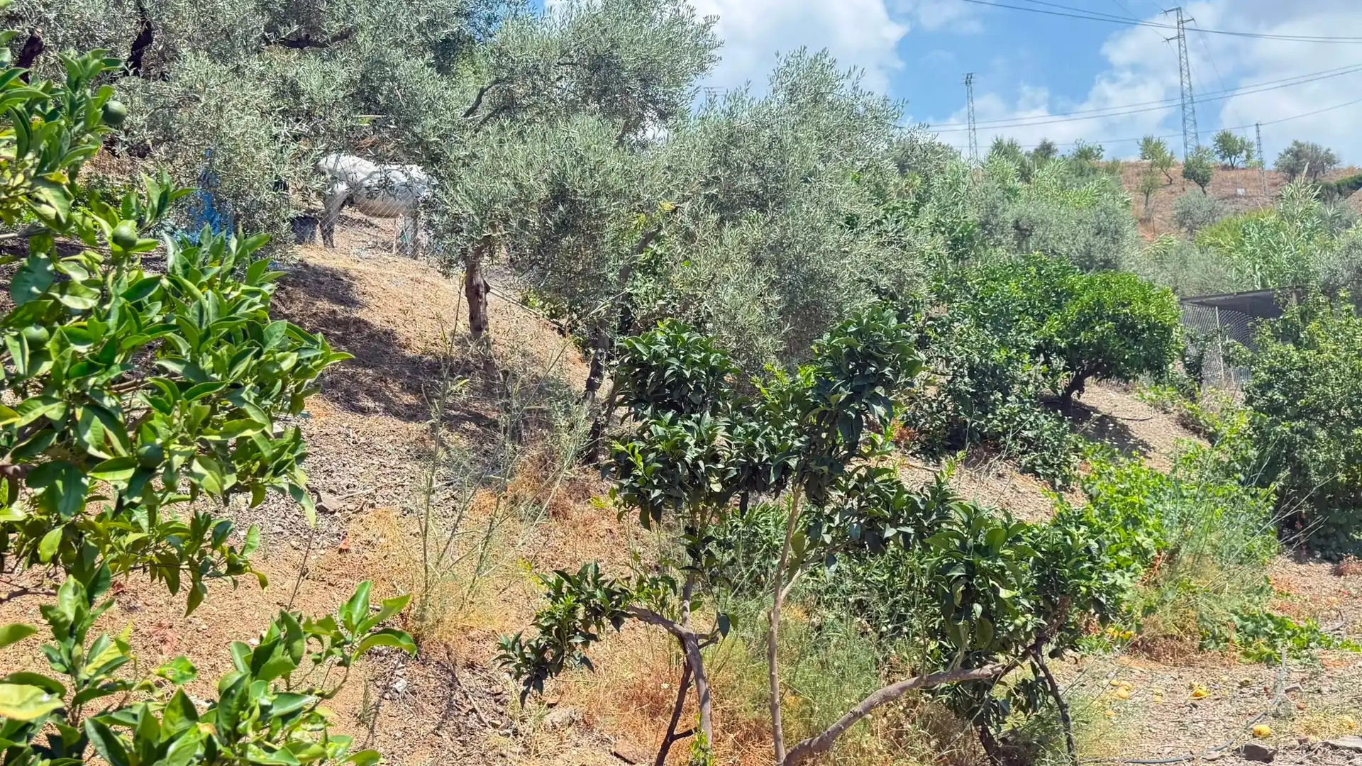 Casa o xalet en venda en Sedella amb Aire condicionat, Jardí privat i Terrassa