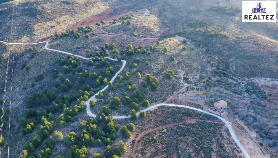 Terrain rustique à vendre à Alcolea, imagen 18