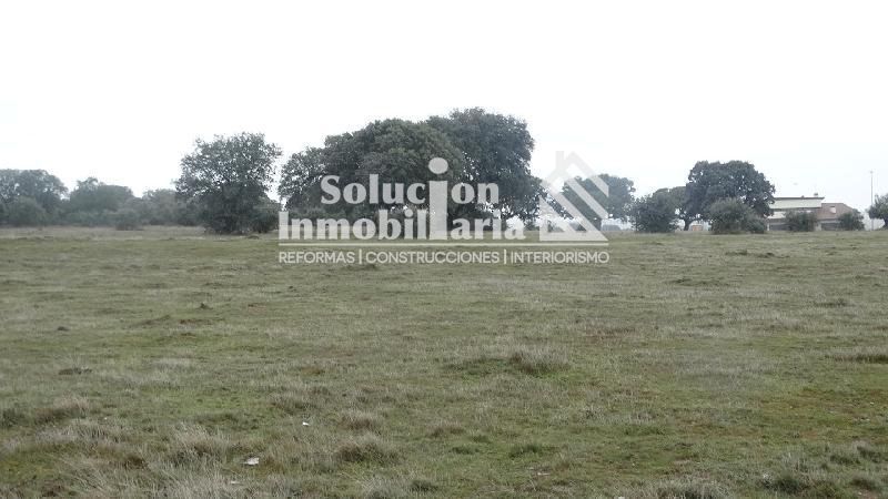 Residencial en venda en Buenavista