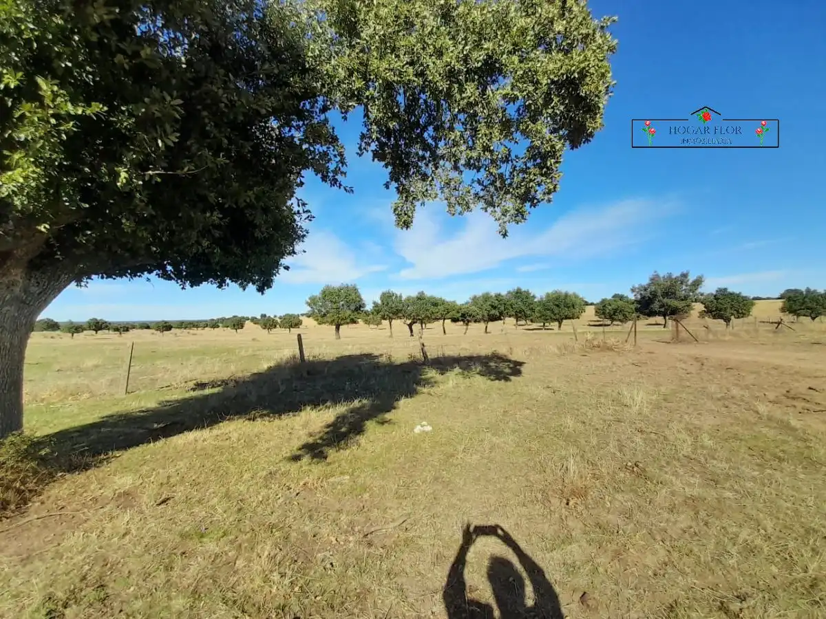 Finca rústica en venta en Carrascal del Obispo
