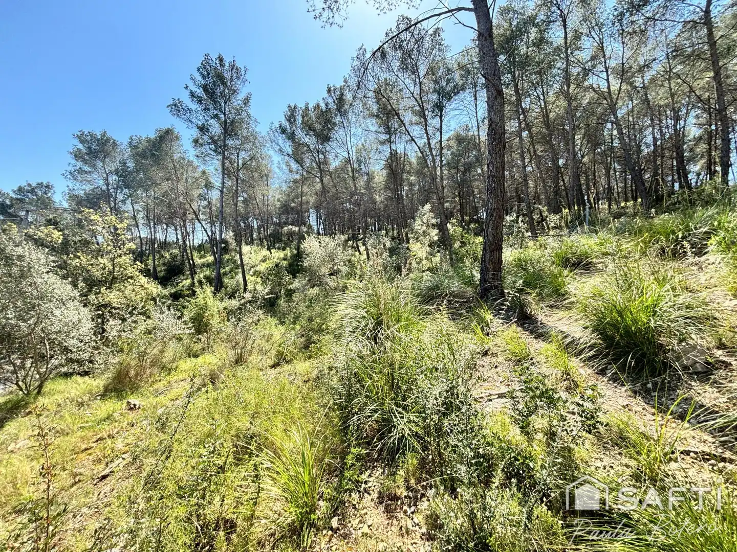 Terrenos y solares en venta en Olivella, imagen 10