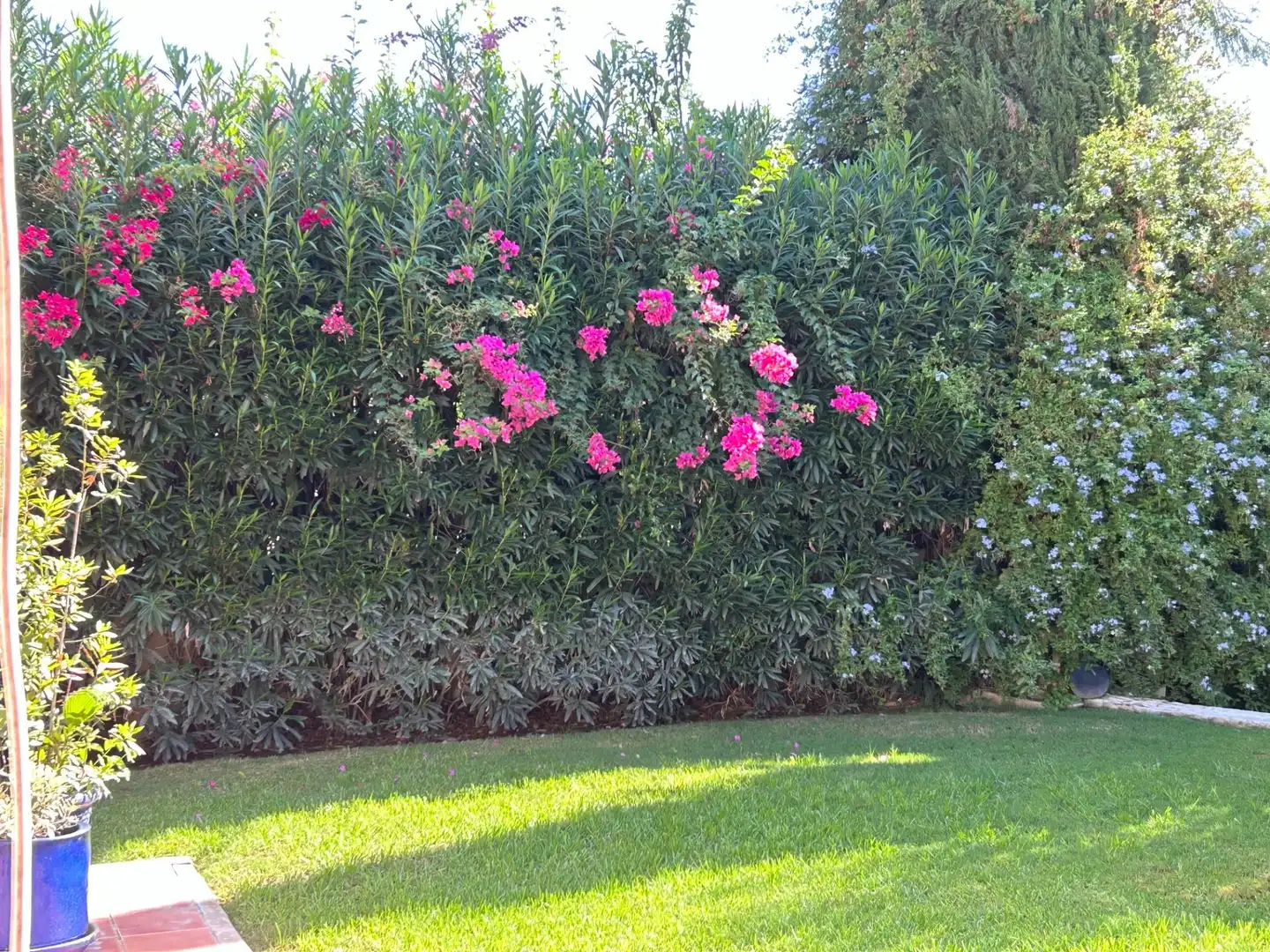 Jardín de Casa o chalet en venta en Bormujos con Aire acondicionado, Calefacción y Jardín privado