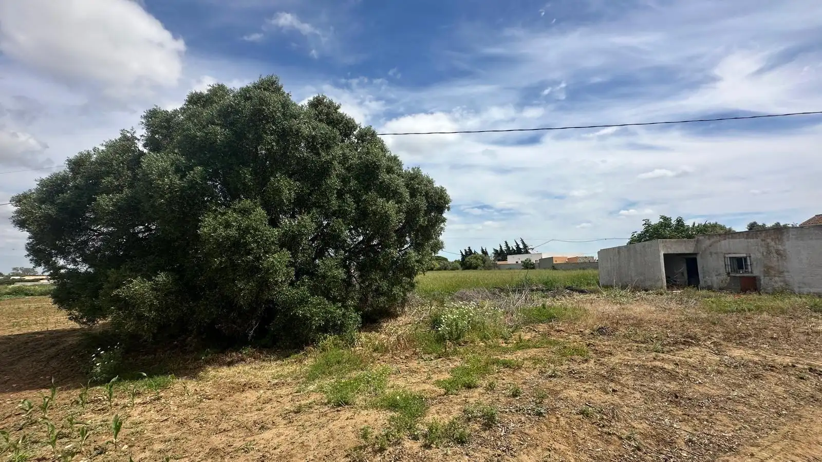 Finca rústica en venda en Conil de la Frontera