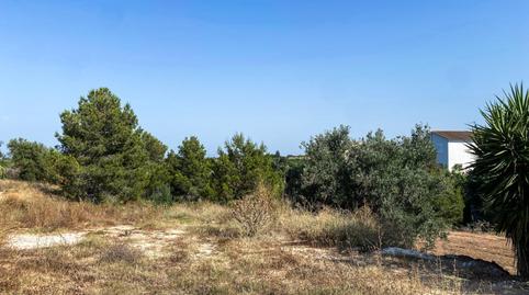 Photo 5 of Residential for sale in Calle Hermanos Quintero, Monte Real, Torrent