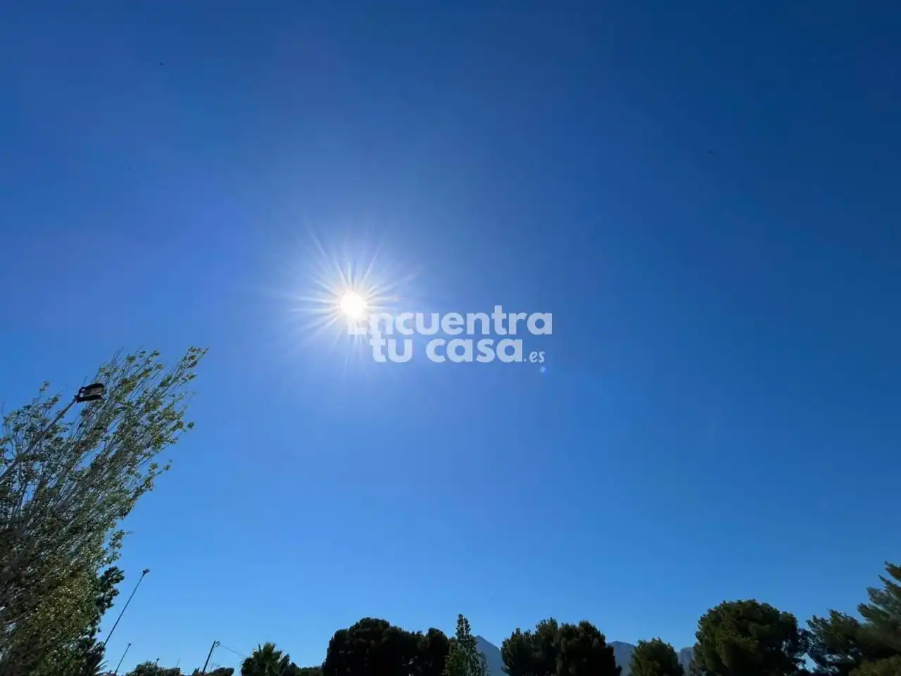 Garden of Detached homes for sale in L'Alfàs del Pi  with Air Conditioner, Heating and Private garden