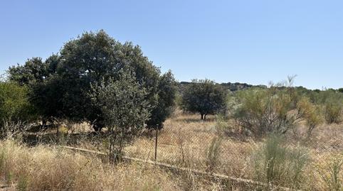 Foto 4 de Terreno en venta en Navas del Rey, Madrid