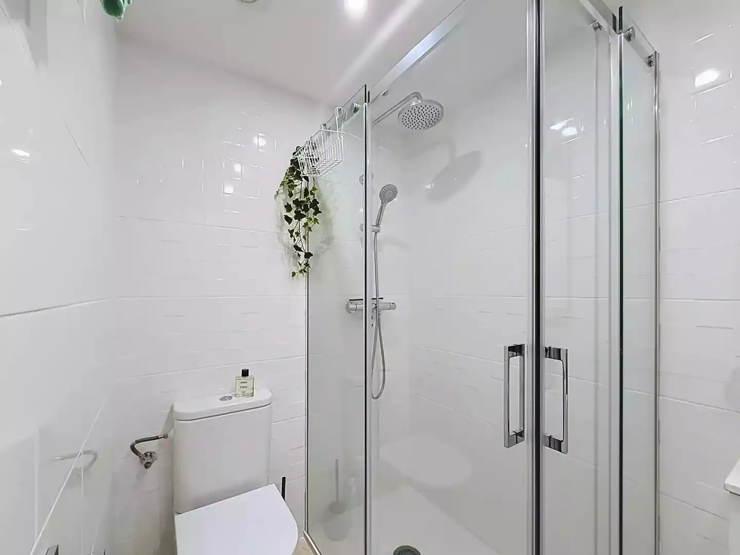 Apartment with terrace for sale in Salins - Cavall de Mar, imagen 14