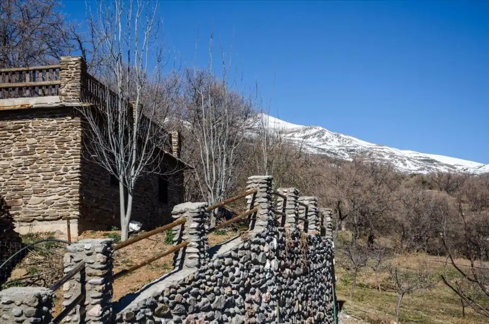Vista exterior de Finca rústica en venta en Cáñar con Jardín privado