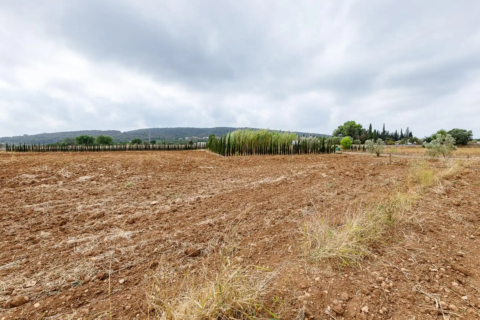 Terreny rústic en venda a Santa Eugènia, imagen 22