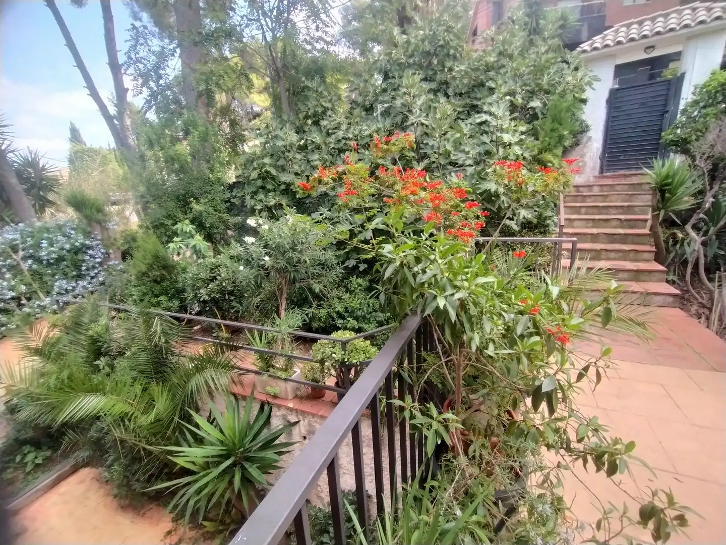 Jardí de Casa o xalet en venda en Corbera de Llobregat, Barcelona