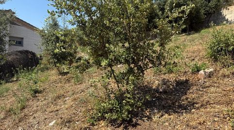 TERRENO URBANO EN VENTA EN CAN CAYAMERES, SENTMENAT  OPORTUNIDAD ÚNICA, imatge 2