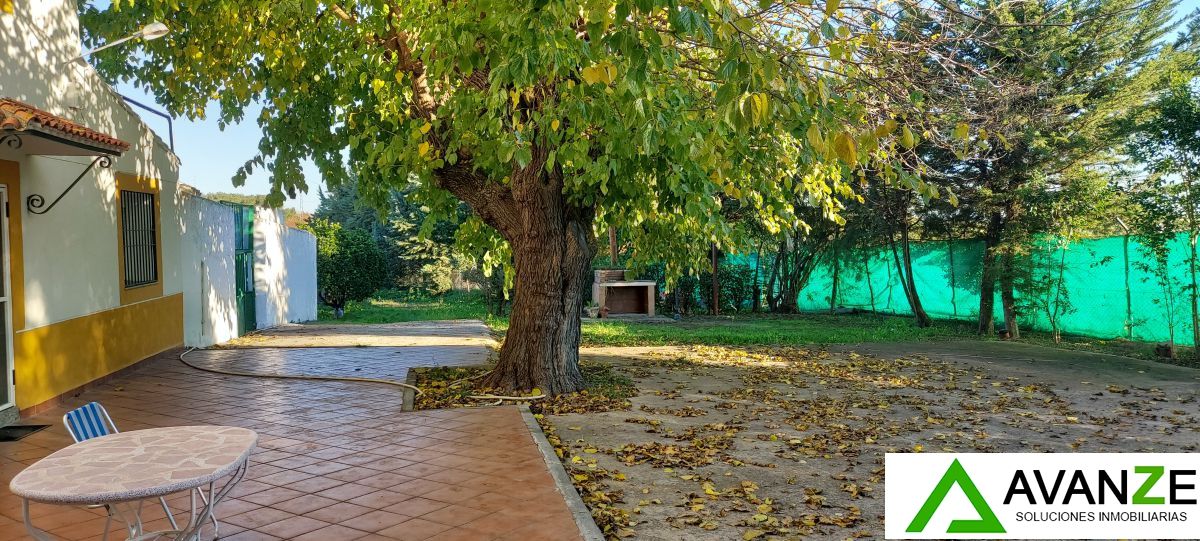 Vista exterior de Finca rústica en venda en Mérida