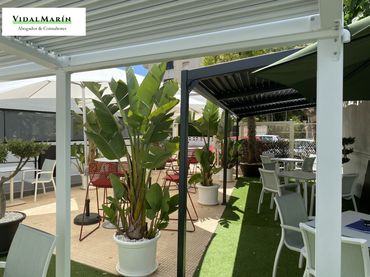 Business premises for transfer in Avenida de Holanda 18