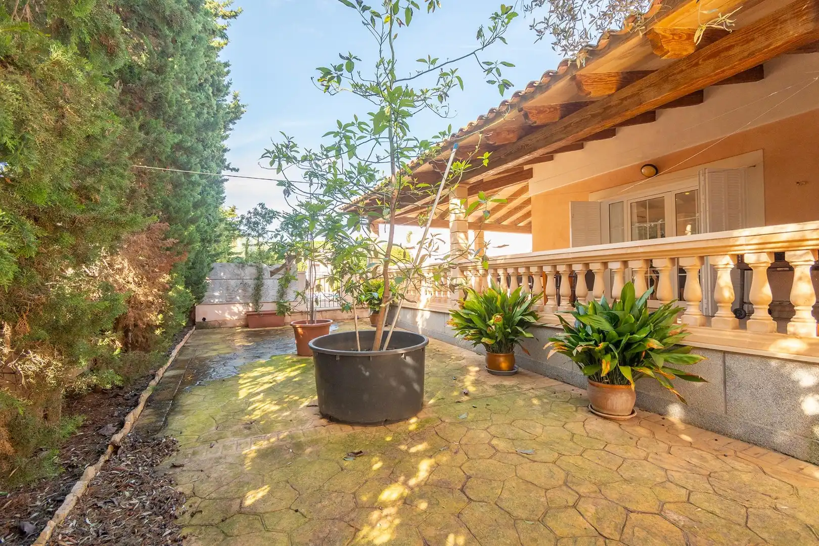 Jardí de Casa o xalet en venda en Felanitx amb Aire condicionat, Calefacció i Jardí privat