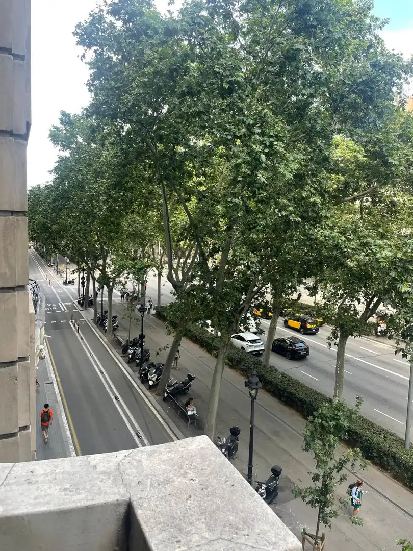 Appartamento con ascensore in vendita a GRAN VIA DE LAS CORTS CATALANES, imagen 30