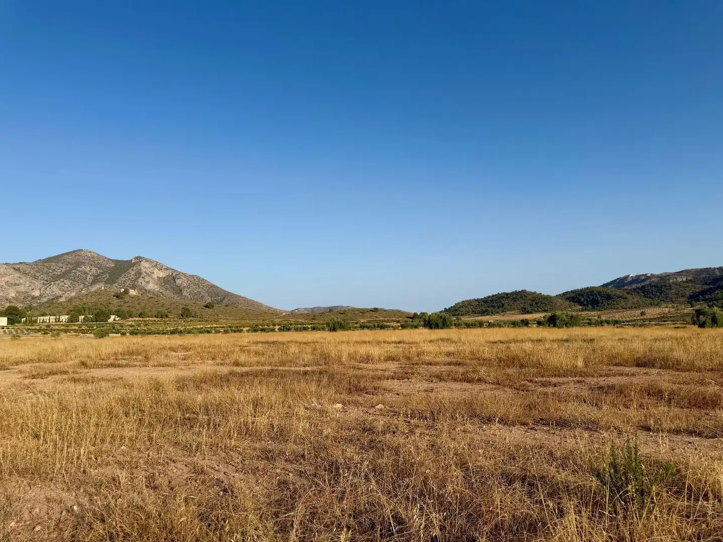 Rural land for sale in Algueña, imagen 9