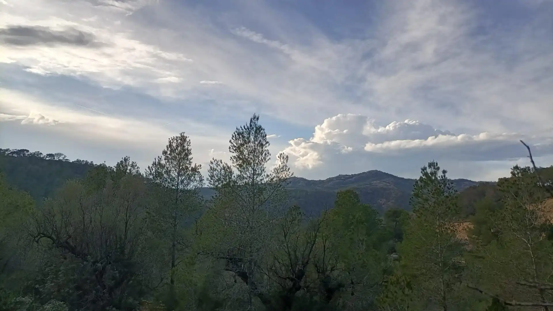 Vista exterior de Terreno en venta en Móra d'Ebre