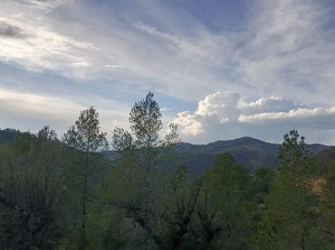 Terreny rústic en venda a Móra d'Ebre