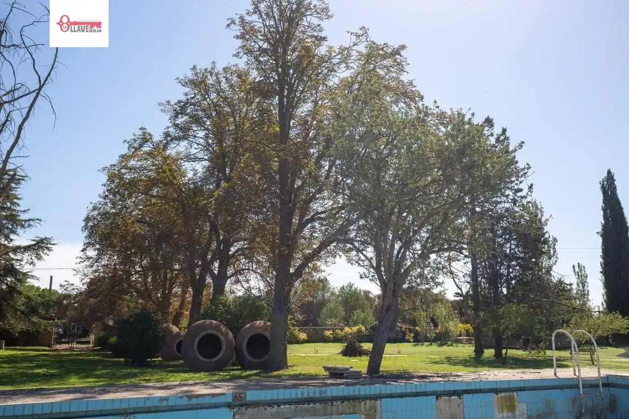Swimming pool of Country homes for sale in Quintana del Puente  with Storage room, Swimming Pool and Furnished