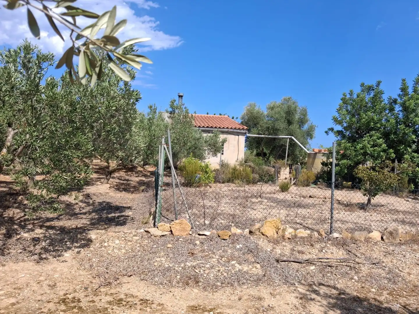 Terrain rustique à vendre à El Perelló, imagen 10