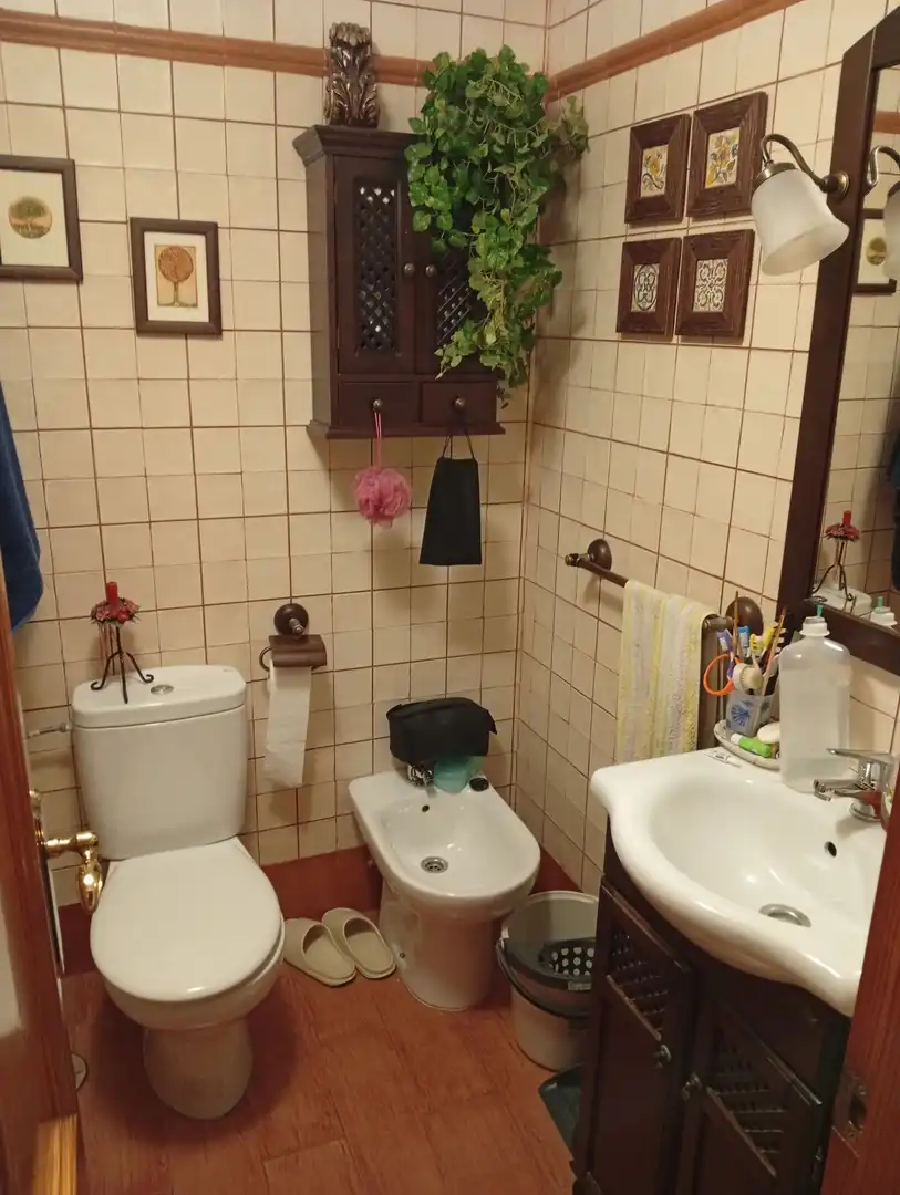 Haus mit Garten zum Verkauf in Calle CASTILLA, imagen 30
