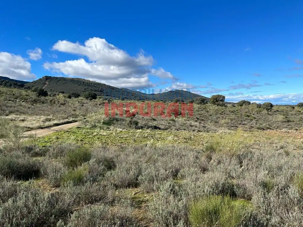 Finca rústica en venta en Carrascalejo