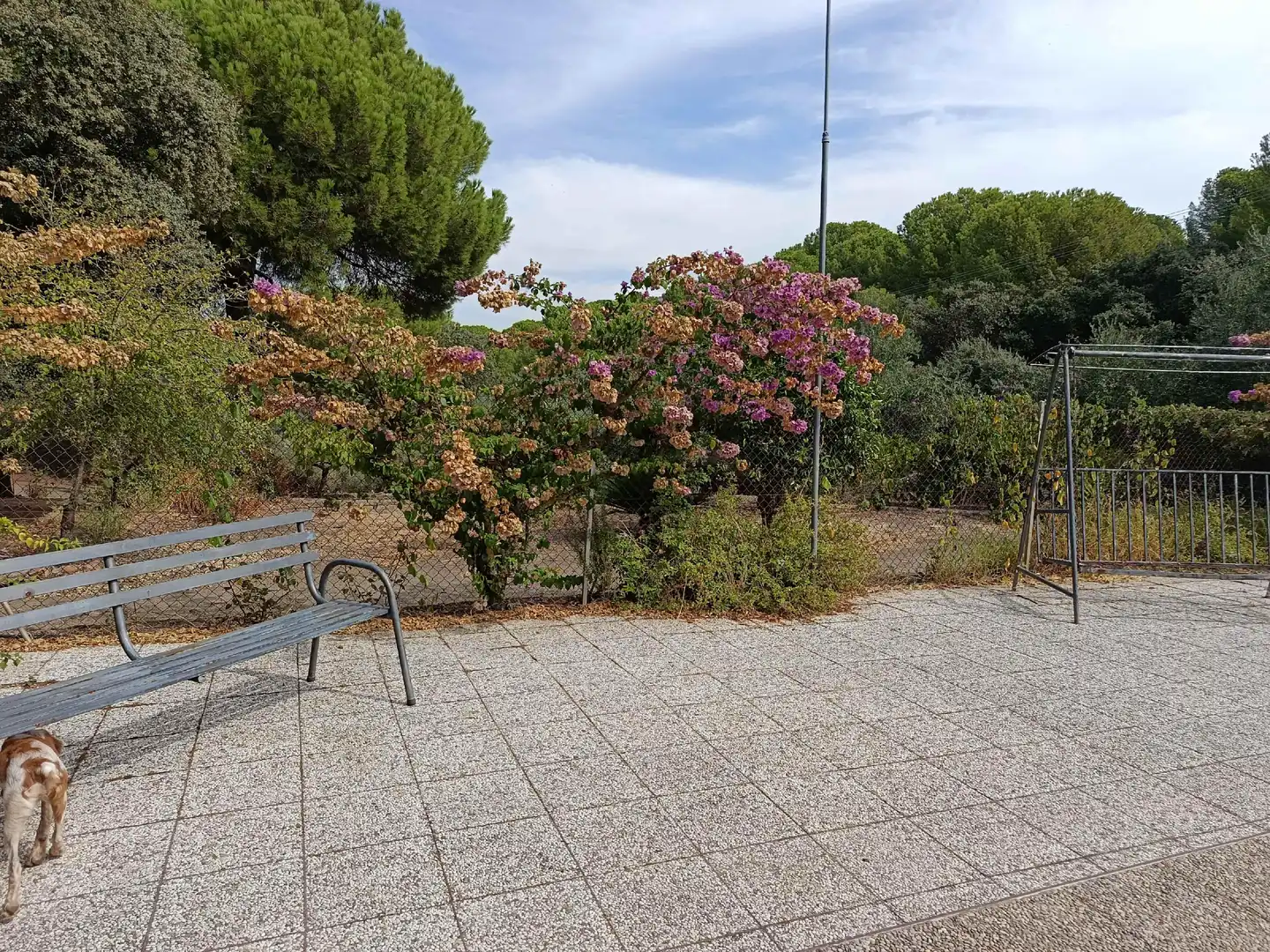 Casa rústica amb piscina en venda a Andújar, imagen 16
