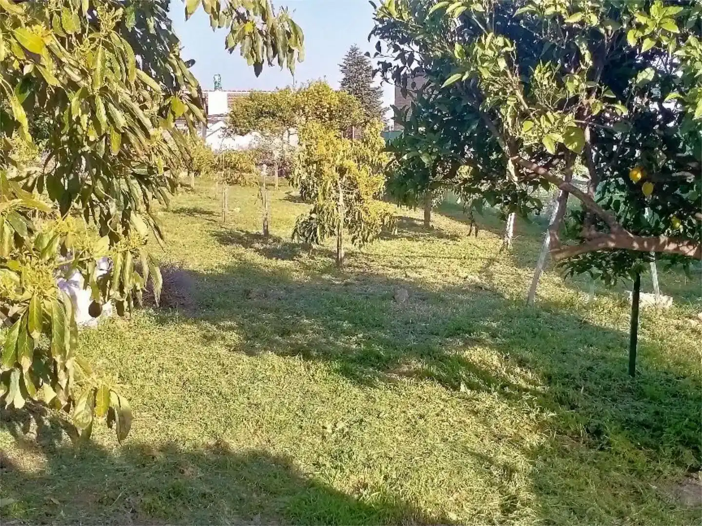 Casa o xalet en venda en Yunquera amb Jardí privat, Traster i Piscina