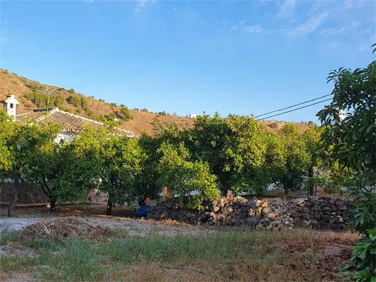 Finca rústica en venda en Alozaina