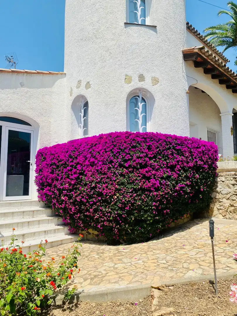 Vista exterior de Casa o chalet en venta en L'Estartit con Aire acondicionado, Calefacción y Jardín privado
