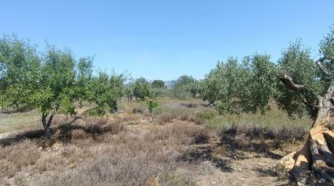 Foto 5 de Residencial en venda a Les Tres Cales, L'Ametlla de Mar