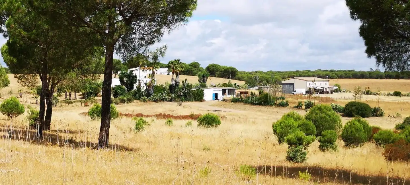 Terreni e lotti in vendita a Dehesa - Monacilla, imagen 4