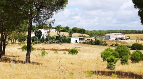 Foto 4 de Residencial en venta en Dehesa - Monacilla, Aljaraque