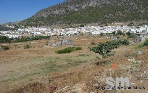 Terreno residencial en Venta en Algodonales