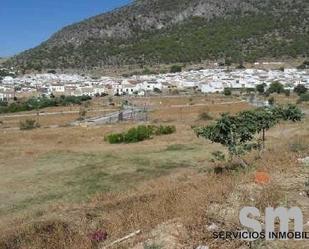 Residential for sale in Algodonales