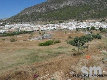 Terrain résidentiel à vendre à Algodonales