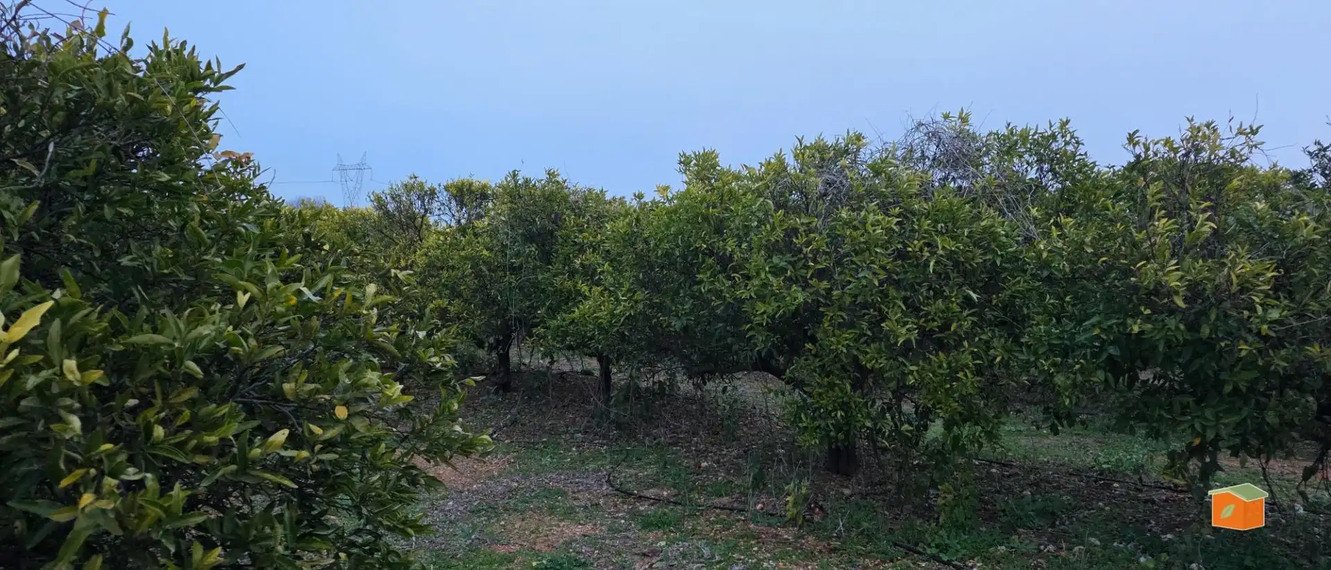 Rural land for sale in Masdenverge, imagen 7