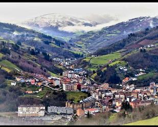 Exterior view of Country house for sale in Cangas del Narcea  with Heating and Internet