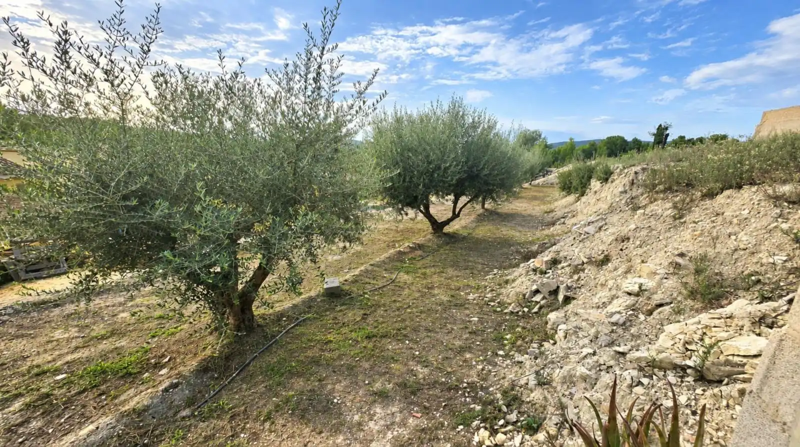 Xalet amb piscina en venda a El Llombo, imagen 19