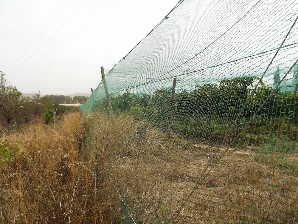 Terreno residencial en venta en Monforte del Cid, imagen 11